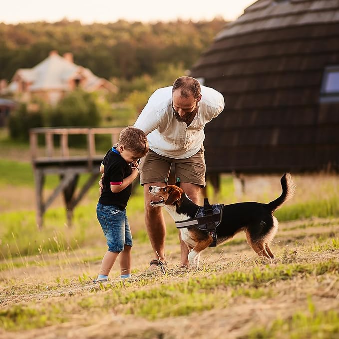 Dogline Dog Harness, Reflective No-Pull Adjustable Vest with Handle for Walking, Training, Breathable, No - Choke Harness for Small, Medium or Large Dogs Room for Patches Girraffe Grey XS 15"-18"