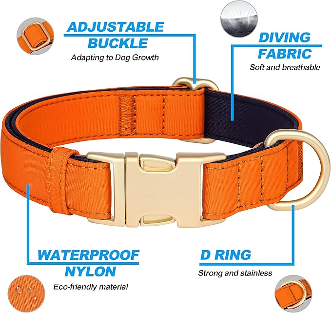 Didog Soft Padded Dog Collars for Medium Dogs, Colorful and Durable Dog Collar with Quick Release Buckle, Light and Breathable for Daily Walking, Orange, M