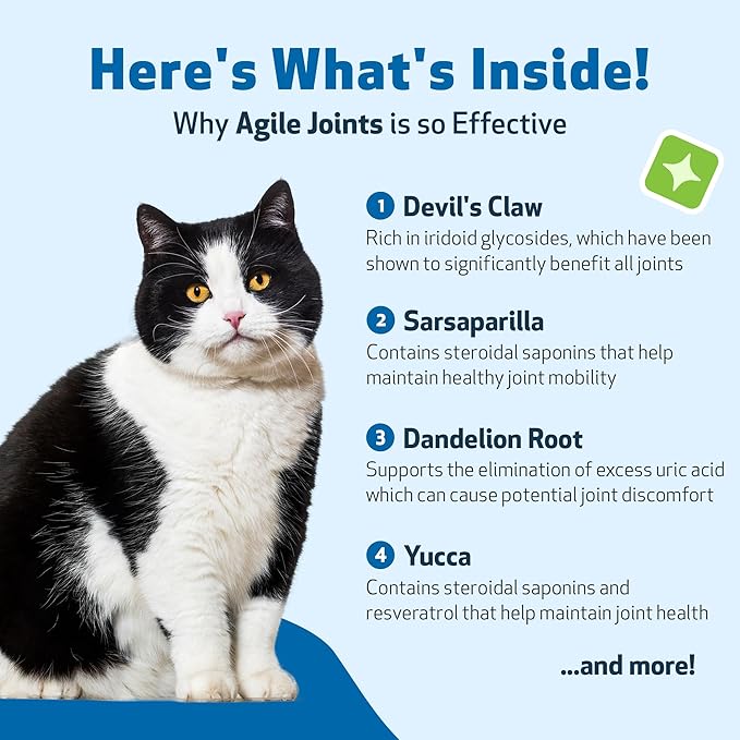 Pet Wellbeing Agile Joints for Cats - Hip and Joint Health, Mobility, Devil’s Claw, Boswellia, Joint Ligament and Cartilage - Veterinarian-Formulated Herbal Supplement 2 oz (59 ml)