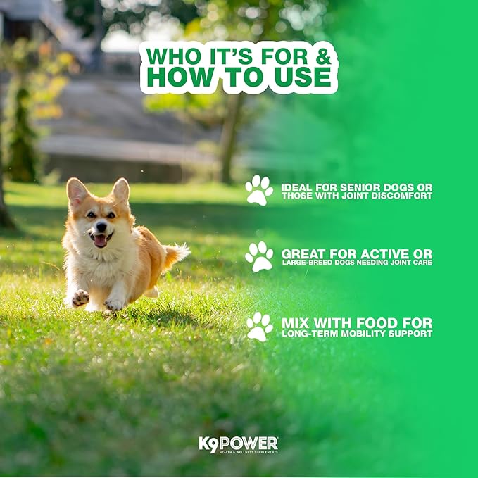 K9 Power Joint Strong Supplement 1 lb - Dog Joint Health & Mobility Support with Glucosamine, Curcumin, Chondroitin, Hip & Joint Pain Relief - Pack of 2