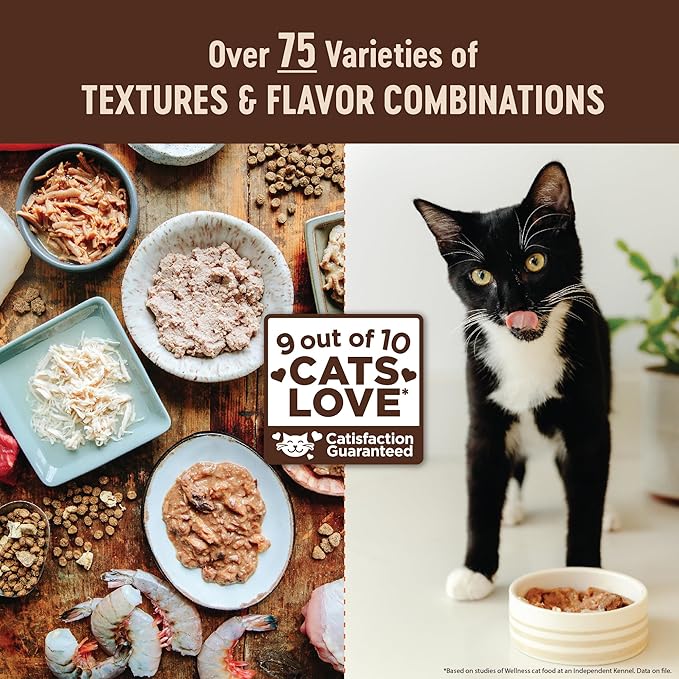 Wellness CORE+ Indoor Pate Adult Wet Cat Food, Natural, Protein-Rich, Grain Free, 5.5 Ounce, 24 Pack (Chicken & Chicken Liver)