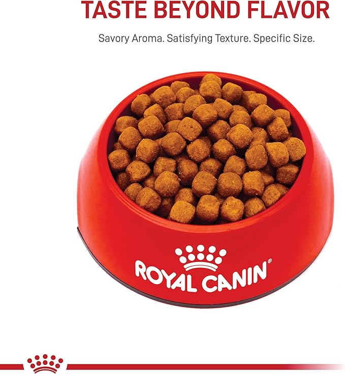 Royal Canin Maine Coon Breed Adult Dry Cat Food, 6 lb bag