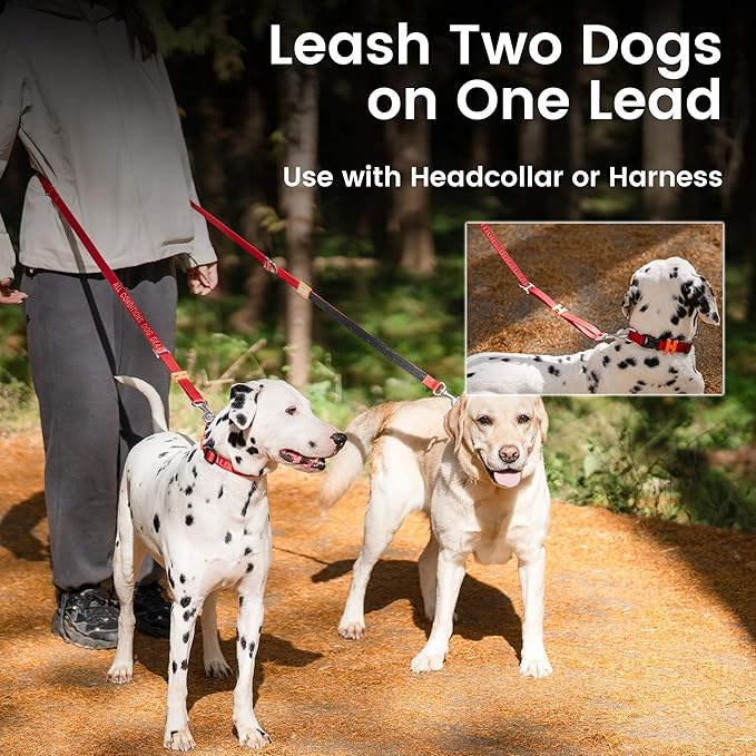 HOWGO 8-in-1 Multifunctional Hands Free Dog Training Leash with Padded Handle, 8.5 FT Nylon Adjustable Length, Lightweight Aviation Aluminum, Crossbody Waist Leash for Puppy Medium Large Dogs (Black)