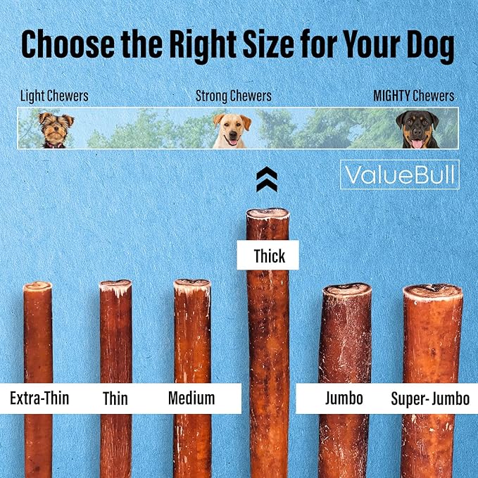 ValueBull Bully Sticks for Dogs, Thick 12 Inch, 50 Count - All Natural, Grass Fed, Single Ingredient, Long Lasting Dog Treats