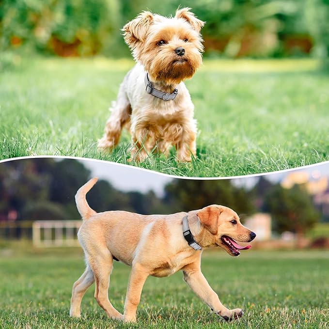 Reflective Dog Collar Padded with Soft Neoprene Breathable Quick Release Basic Dog Collars for Small Dogs Girl Boy Silver