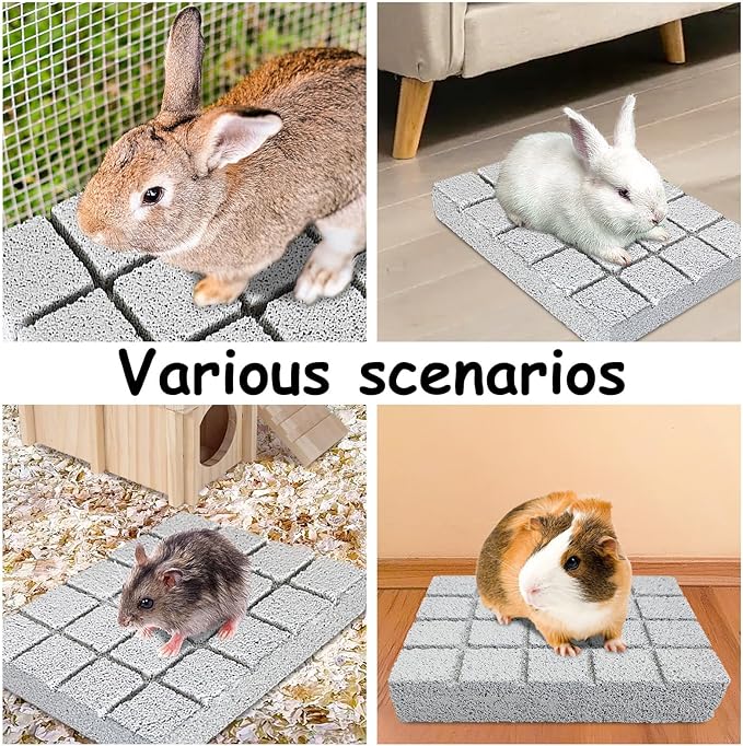Hamiledyi 10PCS Rabbit Scratching Pad Bunny Lava Grinding Claw Board Small Animal Foot Pad Hamster Chew Toys for Gerbil Chinchilla Hedgehog Guinea Pig Cage Accessories