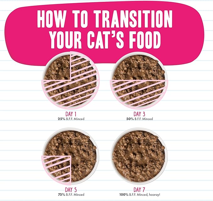 Weruva BFF Minced Natural Wet Cat Food, Tuna and Chicken 4 Eva in Gravy, 3oz Can, Pack of 24