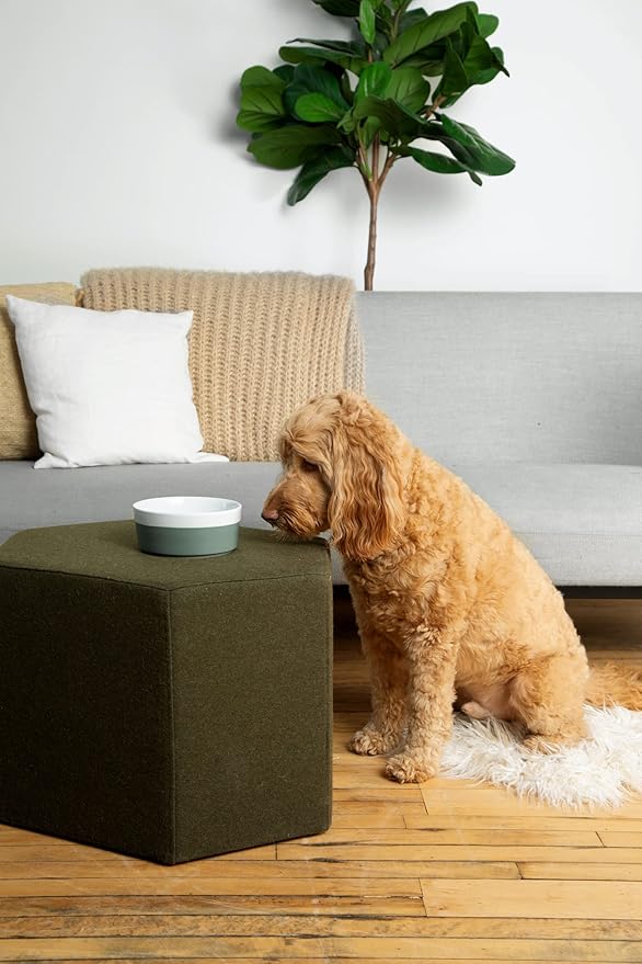 Waggo Dipper Ceramic Dog Bowl for Small and Large Breeds - Heavyweight and Durable Pet Food and Water Dish Crock, Dishwasher Safe, Modern (Mint, Large)