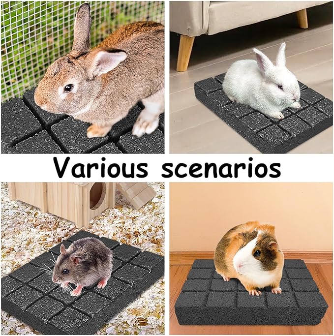 Hamiledyi 8PCS Rabbit Scratching Pads Bunny Lava Grinding Claw Pads Small Animal Foot Pads Hamster Scratch Board Chew Toys for Gerbil Chinchilla Hedgehog Guinea Pig Cage Accessories