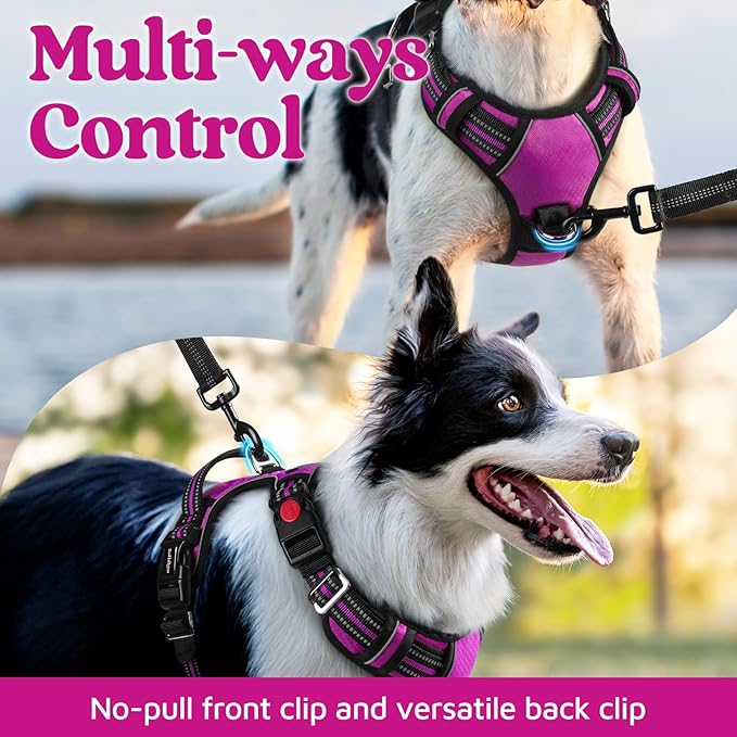 rabbitgoo Dog Harness Medium Sized, No Pull Dog Vest with 3 Buckles, Adjustable Soft Padded Pet Harness with Easy Control Handle and Reflective Strips, Purple, M