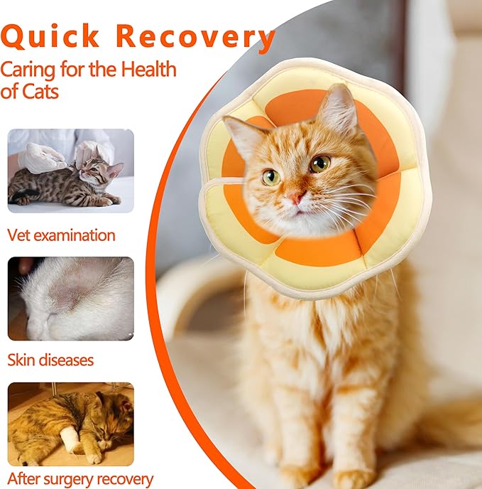 Soft Adjustable Recovery Collar - Comfortable Elizabethan Neck Protective Collar for Cats After Surgery (Orange, Small)