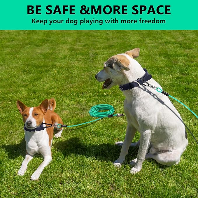 Dog Tie Out Cable 10FT-500Lbs,Heavy Duty Dog Leads&Tether for Yard with Swivel Hook,Small Large Dogs Leash Line for Outside,Rust Chew Proof Dogs Run Cable for Outdoor Camping (Green Cyan, 10FT)