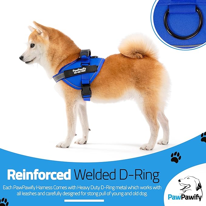 PawPawify Custom No Pull Dog Harness with Name and Phone Number, Heavy Duty Personalized Pet Vest to Prevent Tugging, Pulling, or Choking, Training and Walking (New Blue, M (20-40 LBS))