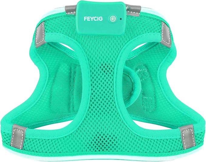 Light Up Dog Harness,Rechargeable LED Dog Harness for Small Medium Large Dogs,Reflective Lighted Safety Vest for Night Walking & Camping,Lightweight & Adjustable,Light Green,S
