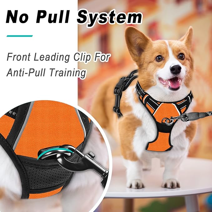 BARKBAY No Pull Dog Harness Large Step in Reflective Dog Harness with Front Clip and Easy Control Handle for Walking Training Running(Orange,L)