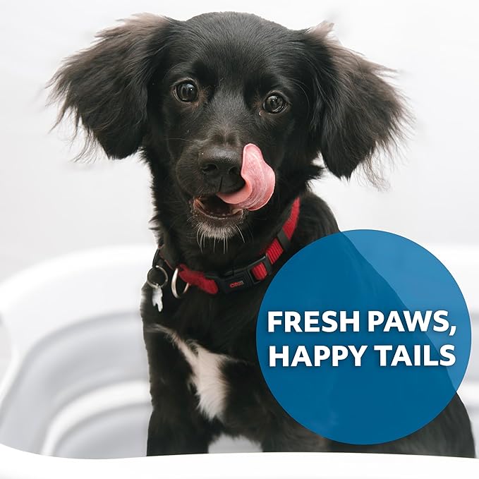 Smoochie Collapsible Pet Bathtub & Washing Station – Portable, Space-Saving Tub for Dogs & Cats, Indoor & Outdoor Grooming