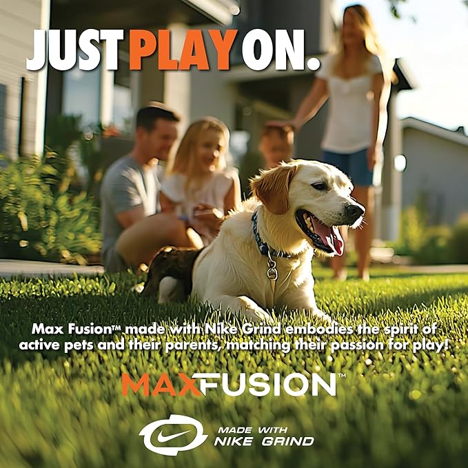 Max Fusion with Nike Grind, Arlee Gyro Treat Dispensing Dog Toy, Durable Dog Treat Toy, L