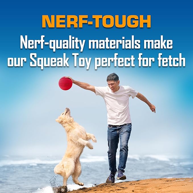 Nerf Dog Classic Squeak Ball Outdoor Dog Toys, 3.8 Inch Dog Ball Fetch Toy, Squeaking Toy for Medium and Large Breeds, Green/Red, 2 Count