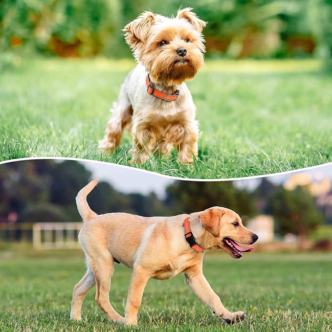 Reflective Dog Collar Padded with Soft Neoprene Breathable Quick Release Basic Dog Collars for Puppy Small Dogs Orange
