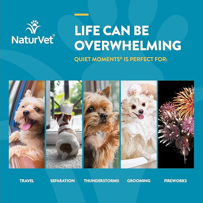 NaturVet Quiet Moments Calming Dog Supplement, Dog Soft Chews with Melatonin to Help Reduce Stress from Storms, The Vet, Fireworks, and Travel, Bacon and Chicken Flavored Pet Supplement, 65 Count