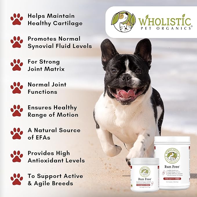 Wholistic Pet Organics Joint Supplement for Dogs - 4 Oz - Daily Dog Hip and Joint Supplement with Glucosamine Chondroitin & MSM to Support Mobility - All Breeds & Ages - Organic Glucosamine for Dogs