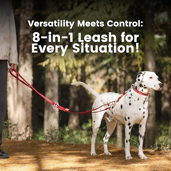 HOWGO 8-in-1 Multifunctional Hands Free Dog Training Leash with Padded Handle,8.5 FT Nylon Adjustable Length,Lightweight Aviation Aluminum,Crossbody Waist Leash for Puppy Medium Large Dogs (MintGreen)