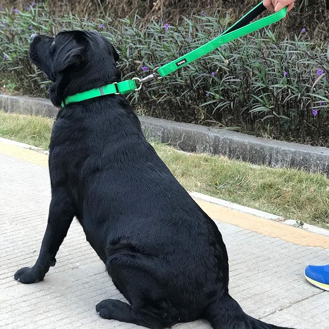 Hyhug Martingale Dog Collar Without Buckle: Anti Escape, No Slip Heavy Duty Nylon, Colorfast Adjustable Pet Supplies for Medium Breeds(Medium, Lime Green)