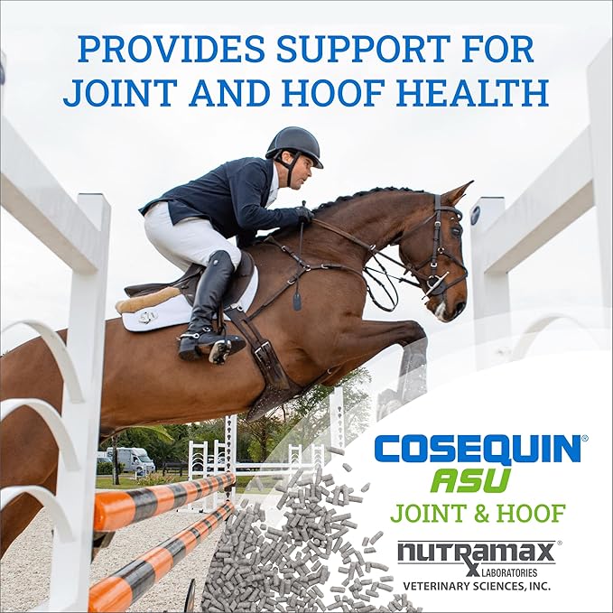 Nutramax Laboratories Cosequin ASU Joint & Hoof Pellets Joint Health Supplement for Horses - Pellets with Glucosamine, Chondroitin, MSM, and Biotin, 1200 Grams