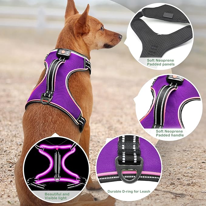 Light Up Dog Harness, No Pull LED Dog Harness with Handle, Rechargeable Lighted Safety Vest for Small Medium Large Dogs, Adjustable Soft Dog Lights for Night Walking