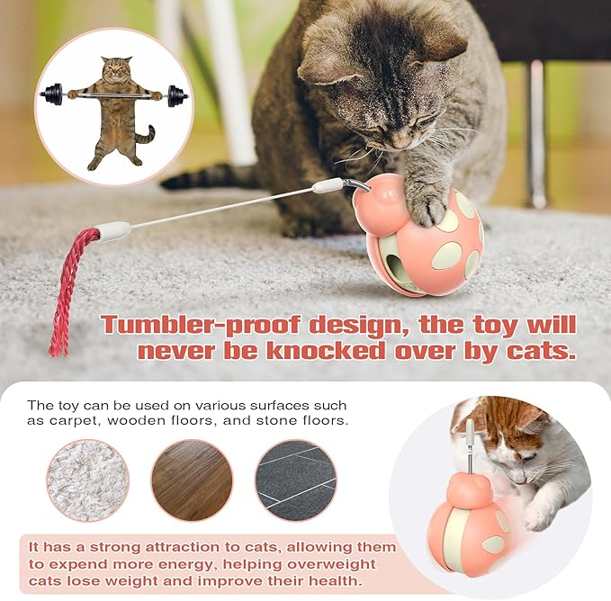 Cat Treat Interactive Toy, Indoor Puzzle Slow Feeding Mental Stimulation Sliding Rolling Cat Toy Ball with Ca-t Teaser, Cats Treat Dispenser Toy for Large, Medium and Small Cats (Pink, ladybug)