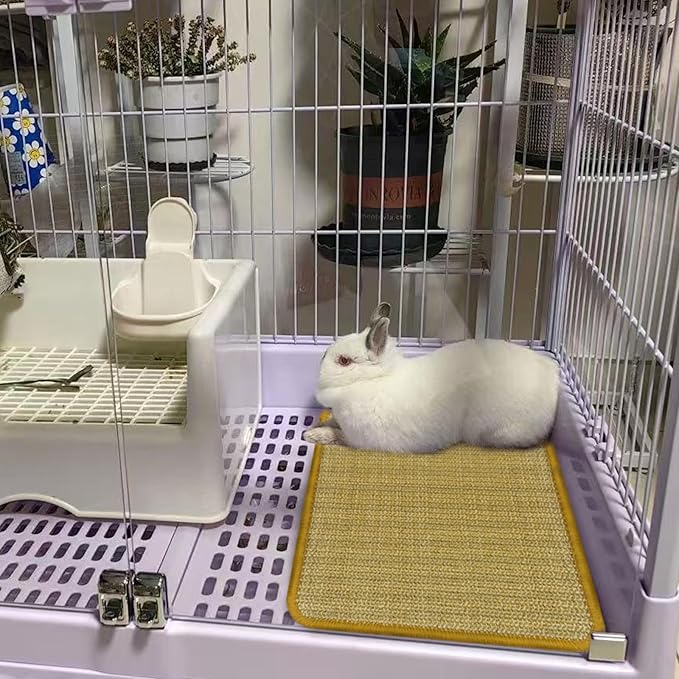 DYAUS Bunny Scratch Pad, Natural Sisal Rabbit Scratching Mat for Claws and Teeth Care, Indoor Bunny Chew Toys Bunny Bed for Biting Sleeping Nesting (1PC, 16x12in)