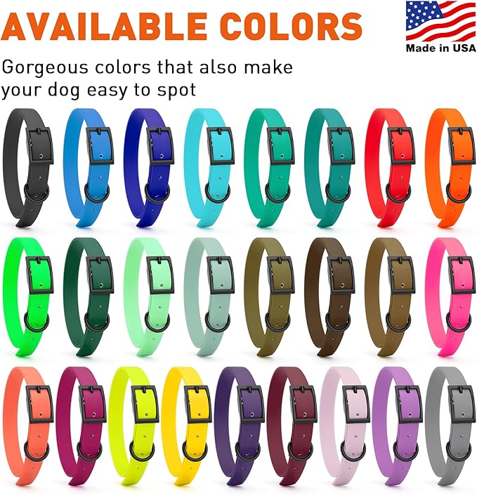 Dogline Biothane Waterproof Dog Collar Strong Coated Nylon Webbing with Black Hardware Odor- Proof for Easy Care Easy to Clean High Performance Fits Small Medium or Large Dogs, Treasure Gold