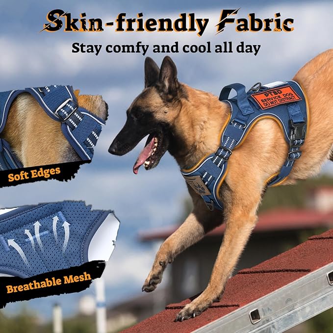rabbitgoo Dog Harness for Large Dogs No Pull, Tactical Service Pet Vest with Molle and Control Handle, Adjustable and Reflective Military Harness for Easy Walking and Training, Blue, L