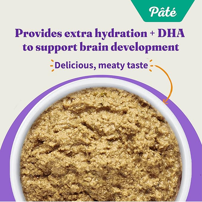 Halo Wet Kitten Food Whole Chicken Recipe, Grain Free Wet Cat Pate, Canned Cat Food to Support Brain Development, 3 Oz Can (Pack of 12)