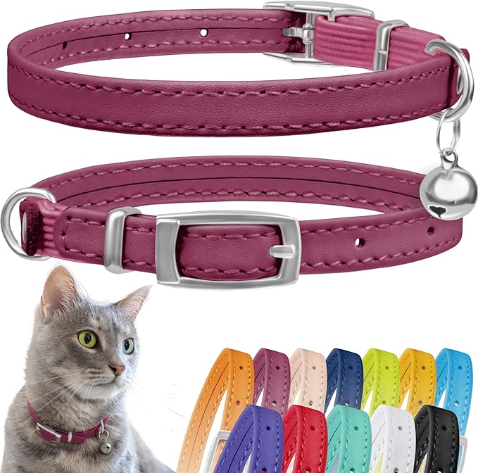 CollarDirect Leather Cat Collar with Bell - Kitten Collar, Small and Big Cat Strap for Boy Cats, Girl Cats with Safety Elastic Strap (Neck Fit 6"-7", Pink)