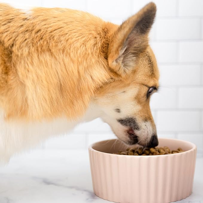 Waggo Ripple Ceramic Dog Bowl for Medium and Large Breeds - Modern with Matte Finish, Heavyweight Durable Pet Food and Water Dish Crock, Dishwasher Safe(Medium, Rose)