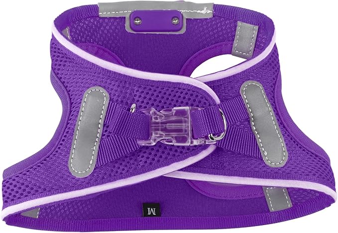 Light Up Dog Harness,Rechargeable LED Dog Harness for Small Medium Large Dogs,Reflective Lighted Safety Vest for Night Walking & Camping,Lightweight & Adjustable,Purple,S