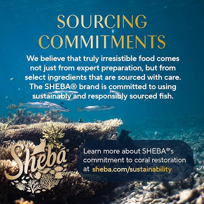 Sheba Perfect Portions Wet Cat Food Cuts in Gravy Variety Pack, Roasted Chicken Entree, with Sustainable Salmon, and Tender Turkey Entree, 2.6 oz. Twin-Pack Trays (24 Count, 48 Servings)