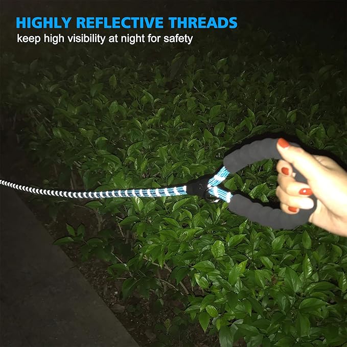 Heavy Duty Dog Leash - Comfortable Padded Handle, 5 ft Long - Dog Leashes for Small Medium Large Dogs (Leash+Collar M Neck 16"-20", Blue)