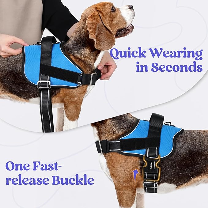 rabbitgoo Dog Harness for Small, Easy On Pet Vest with One Buckle, No Pull Adjustable Service Harness with D-Ring & Handle, Reflective for Safety Walking, Training, Blue, S