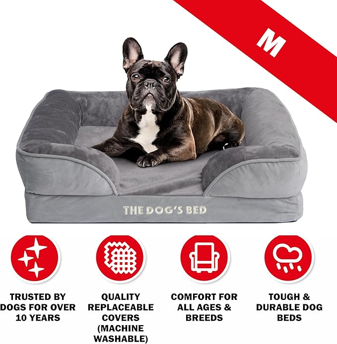 The Dog’s Bed, Orthopedic Standard Foam Waterproof Dog Bed with Standard Support, Medium Silver Grey Plush, Waterproof, Supportive Dog Bed with Replaceable Covers, Veterinary Approved