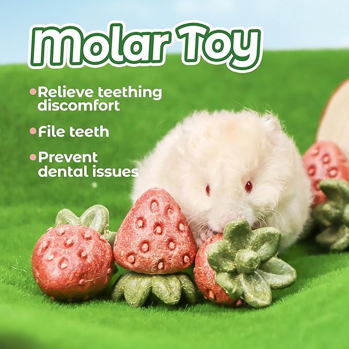 TEEWY 4PCS Hamster Chew Toys, Guinea Pig Chew Toys for Teeth with Natural Vegetables and Timothy Grass, Chinchilla Toys,Dental Care for Rats/Guinea Pigs/Hamsters and Gerbil, Strawberry-Shape