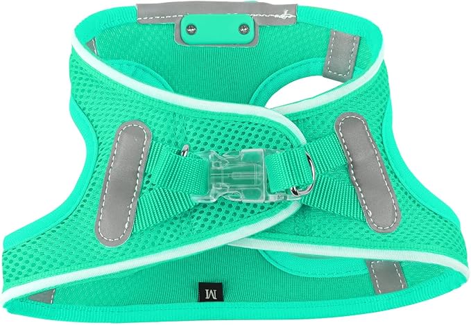 Light Up Dog Harness,Rechargeable LED Dog Harness for Small Medium Large Dogs,Reflective Lighted Safety Vest for Night Walking & Camping,Lightweight & Adjustable,Light Green,XS