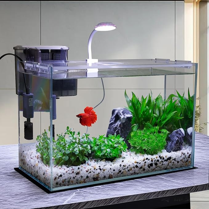 5 Gallon Glass Small Fish Tank, Betta Fish Tank Starter Kit with Filter, Lights, Lid.