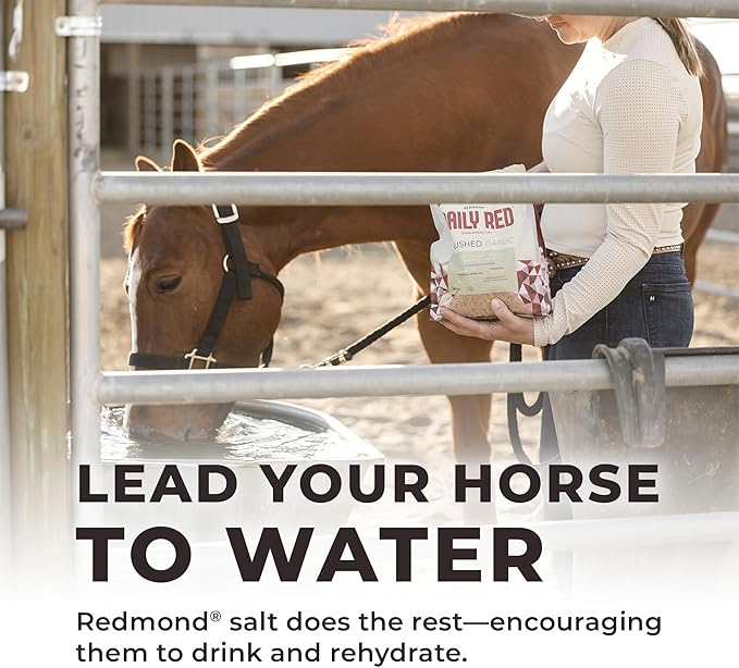 Redmond Daily Red Crushed Garlic | Horse Minerals & Vitamins Supplement | Garlic for Horses