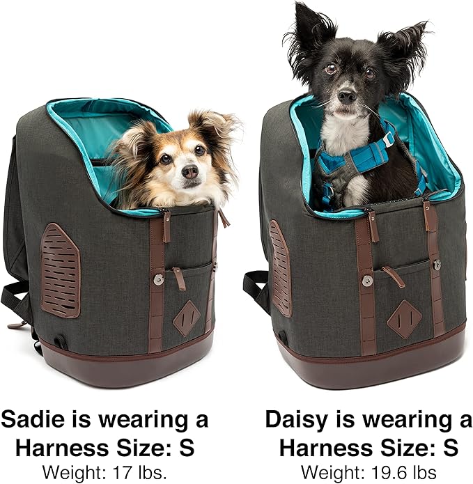 Kurgo Dog Carrier Backpack for Small Pets - Dogs & Cats | Cat | Hiking or Travel | Waterproof Bottom | K9 Ruck Sack (Heather Black)