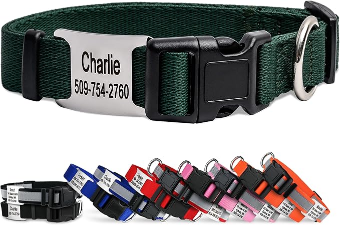 GoTags Personalized Dog Collar with Nameplate, Adjustable Dog Collar with Custom Engraved Slide On Pet ID Tag in Stainless Steel, Silent, No Noise Dog Tag (Hunter Green, Medium)