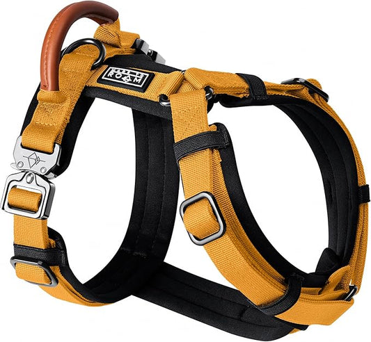 MADE TO ROAM Premium Explorer Harness - Y-Shaped Dog Harness with Adjustable Durable Nylon, Soft Padding, Metal Buckles and Leather Handle for Small, Medium, Large Dogs (Michigan Autumn, Size 3)