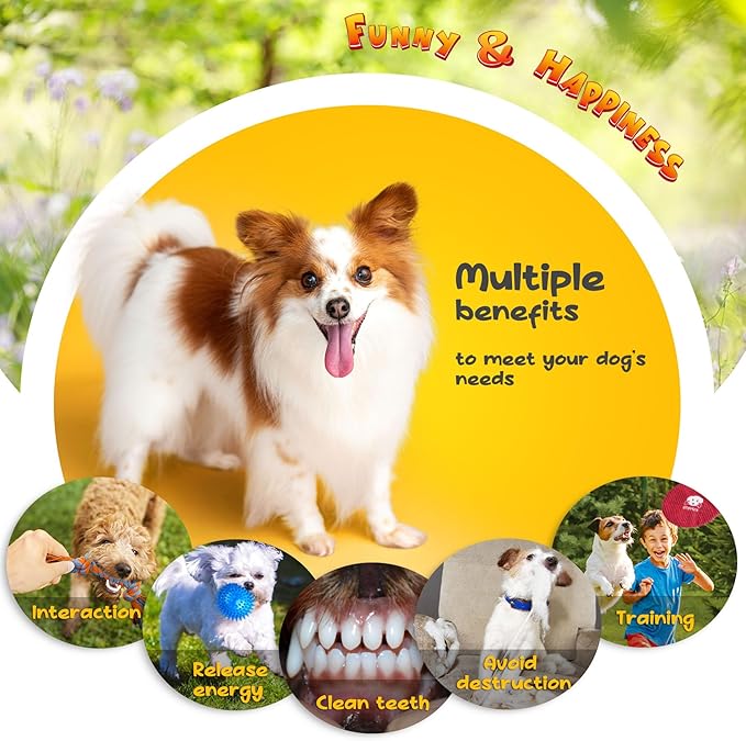 KIPRITII Puppy Toys for Dog Teething -25 Pack Various Puppy Chew Toys with Rope Toys, Dog Treat Balls & Squeaky Toy for Puppy and Small Dogs