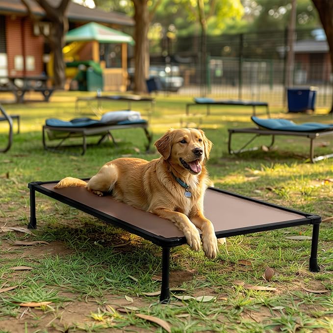 Veehoo Chew-Proof Elevated Dog Bed, Durable Training Platform for Large Dogs, Indoor/Outdoor Raised Pet Cot, Brown, 41x27inches, Model CWC2420CP
